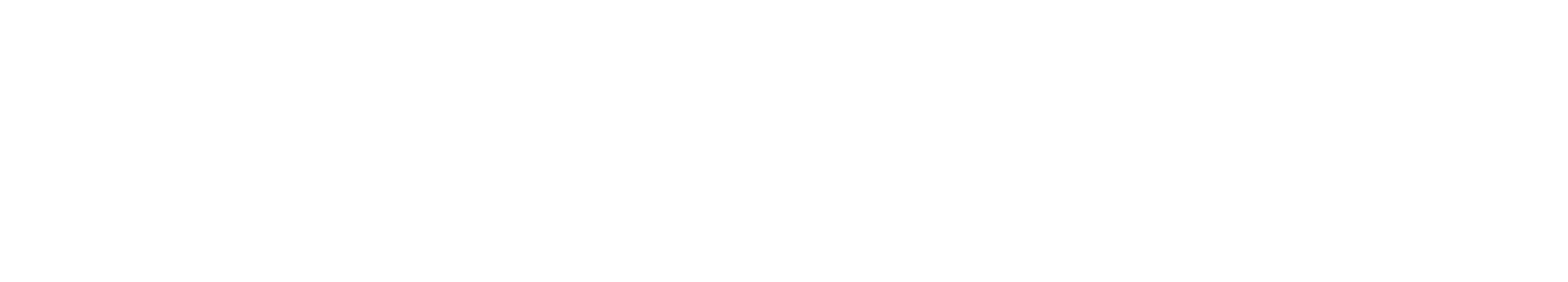netwitness