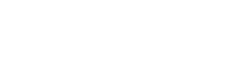 aik banka solvit